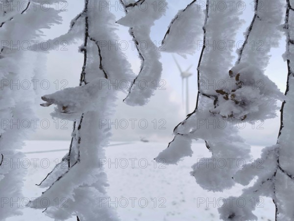 Snow-covered branches in a frosty winter landscape create a quiet and cold atmosphere, wind turbine, Rennsteig, Frankenwald