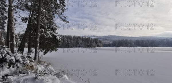 Snowy winter landscape with lake and forest, Rennsteig, Thuringian Forest