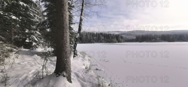 Snowy lake with trees and footprints in winter, Rennsteig, Thuringian Forest