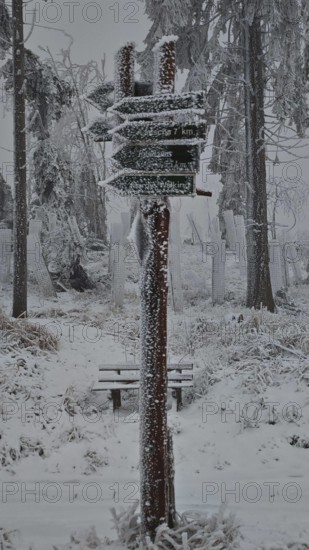 A snow-covered signpost stands in a snowy, bare forest, Rennsteig, Thuringian Forest
