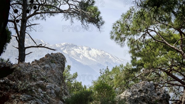A snow-covered mountain surrounded by pine trees and rocks under a clear sky, Turkey