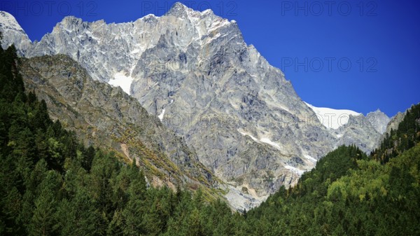 Large mountains and thick forests under a clear blue sky, Chalaadi Glacier, Georgia