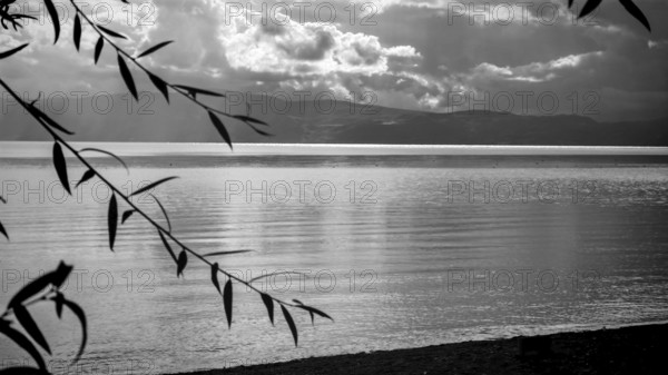 Black and white photo of a quiet lake with branches in the foreground and clouds above, Lake Ohrid, North Macedonia
