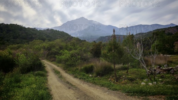 A dirt road leads through lush vegetation to a distant mountain of Tahtali, Lycia, Turkey