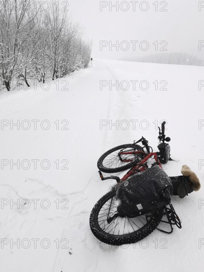 Bicycle is lying in the snow on a snowy dirt road under bare trees