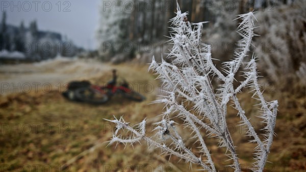 Ice crystals on plant in foreground, blurred bicycle in background