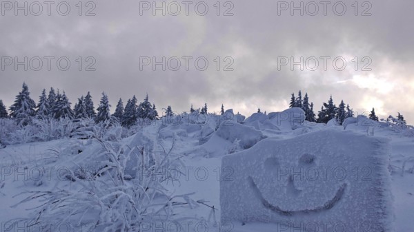 Snowy forest with a smiley face drawn in snow under a cloudy sky, Fichtelgebirge, Bavaria