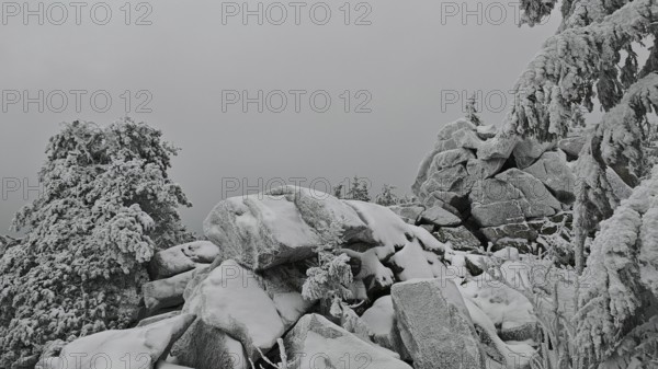 Snow-covered rocks and trees under a grey sky. Barren, quiet landscape, Fichtelgebirge, Bavaria
