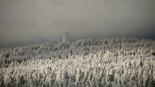 Snowy forest with a tower submerged in fog under a twilight sky, view from Nusshardt towards Bacöfele on the Schneeberg, Fichtelgebirge, Bavaria