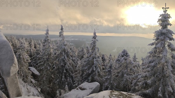 Landscape at sunset with snow-covered trees and golden light, Fichtelgebirge, Bavaria