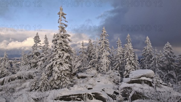 Snowy landscape with trees under a sky divided between blue and clouds, Fichtelgebirge, Bavaria
