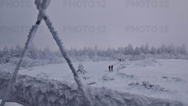 Snowy landscape with hikers and forest in the background. Twilight, quiet atmosphere, Schneeberg, Fichtelgebirge, Bavaria
