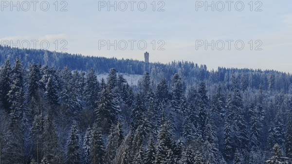 Snowy forest with a tower on a hill under a clear sky, Rennsteig, Thuringian Forest