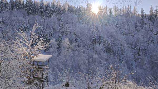 Sunbeams penetrate the snowy forest in a wintry atmosphere, Fichtelgebirge, Bavaria