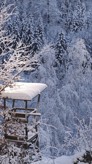 Snowy high chair in the forest with winter surroundings, Fichtelgebirge, Bavaria