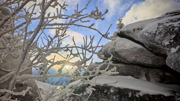 Sunlight flashing through snowy branches and illuminating rocks, Fichtelgebirge, Bavaria