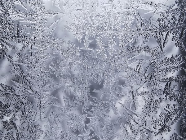 Ice flowers on a glass surface create a frosty and detailed pattern
