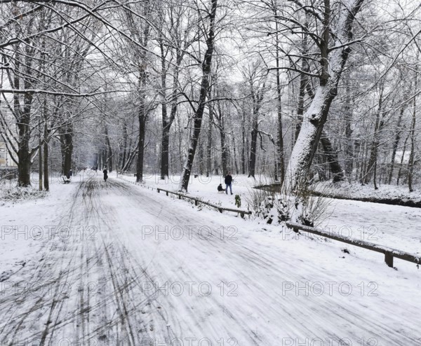 Snowy trail through the forest, people walking in winter peace, Berlin