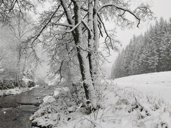 Snowy river landscape with leafless trees on a quiet winter day, Rennsteig, Frankenwald