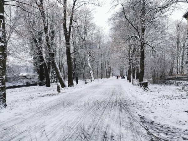 Snowy avenue with bare trees and a quiet, untouched winter trail, Berlin