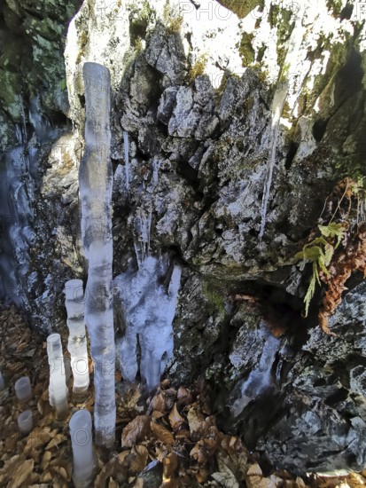 Icicle ice stalagmites in a shady cave, Franconian Forest
