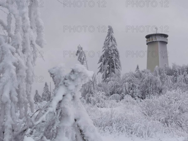 A snow-covered tower in a wintery forest landscape, Thüringer Warte, Frankenwald nature park Park
