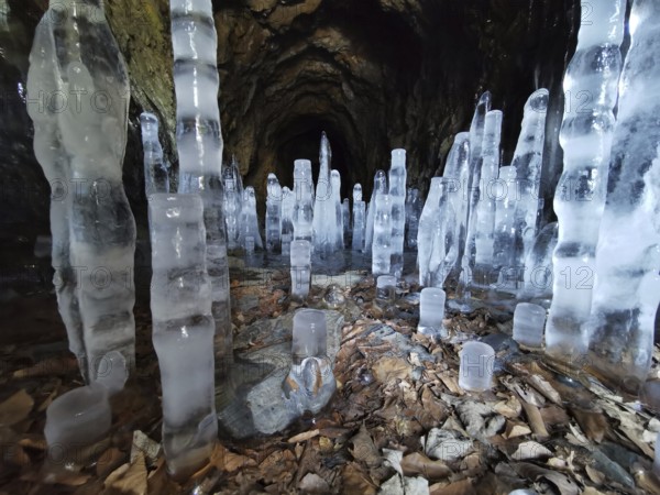 Ice towers grow from the bottom of a rocky cave surrounded by winter cold, ice stalagmites, Franconian Forest nature park Park