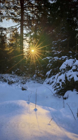 The sun shines through a snowy forest and creates a quiet, peaceful atmosphere, mystical, romantic, Franconian Forest nature park Park