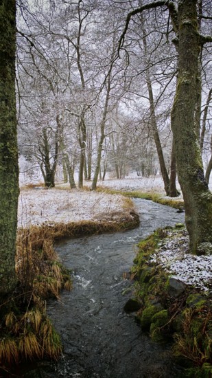 Small stream in light snowfall, surrounded by bare trees, mystical, romantic, Frankenwald nature park Park