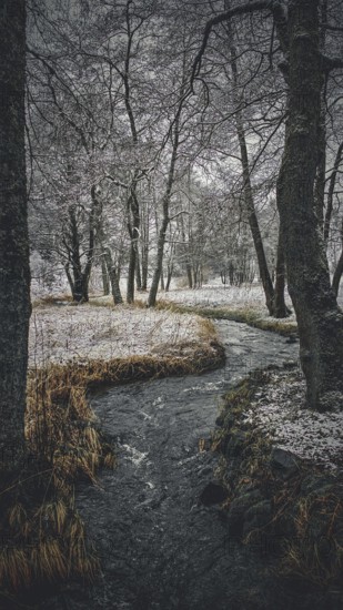 Snowy landscape with a stream surrounded by trees, creates a romantic atmosphere, mystical, romantic, Frankenwald nature park Park