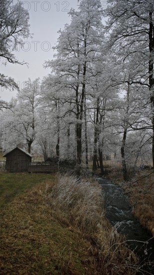 A small hut stands in a wintry landscape with snow-covered trees and a river, mystical, romantic, Rennsteig, Frankenwald