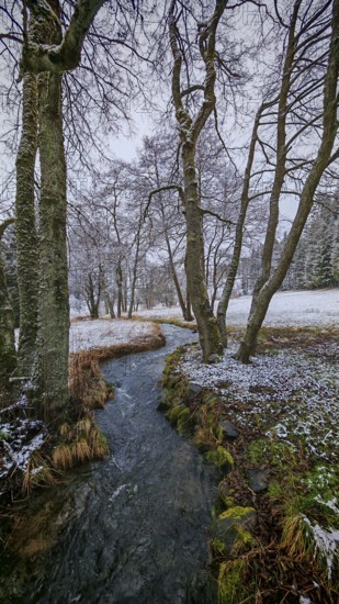 A stream snakes through a snow-covered forest landscape with bare trees, mystical, romantic, Franconian Forest nature park Park
