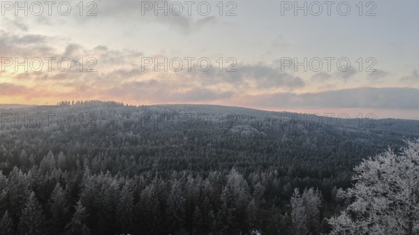 Snowy forest landscape under a twilight sky at dusk