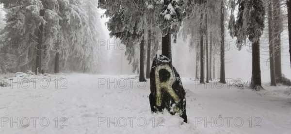 Wintery forest with snow-covered rocks and tall trees, quiet and white landscape, Rennsteig, Thuringian Forest