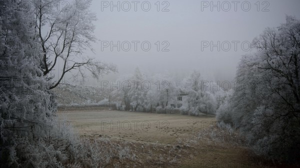 Detached house surrounded by snow-covered trees and thick fog, creates a quiet winter atmosphere