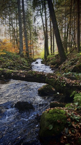 Quiet stream, surrounded by idyllic autumnal forest and trees, romantic atmosphere, Frankenwald nature park Park