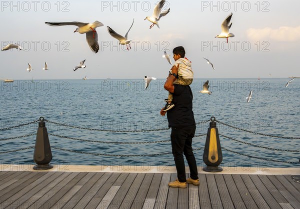 Mina District across from the cruise terminal, locals and tourists feed the seagulls, Doha, United Arab Emirates, Western Asia