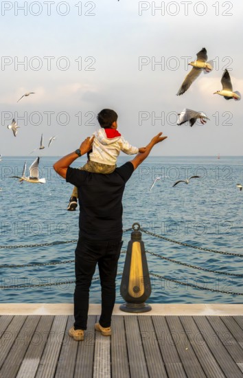 Mina District across from the cruise terminal, locals and tourists feed the seagulls, Doha, United Arab Emirates, Western Asia