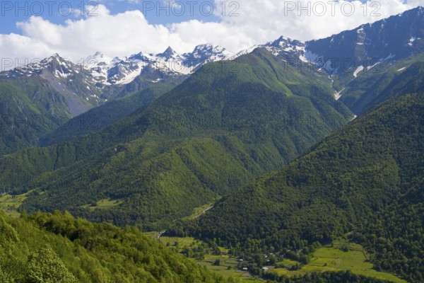 Wide green valley with snow-covered mountains in the background under clear sky, landscape near Iskari, Mingrelia and Upper Svaneti, Samegrelo-Zemo Svaneti, Svaneti, High or Greater Caucasus, Georgia