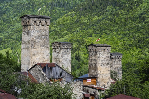 Historic defense towers surrounded by green trees and forest, in the background a small flag, defences in Soli, Mestia, Mingrelia and Upper Svaneti, Svaneti, Caucasus, Georgia