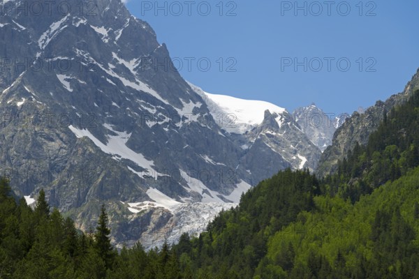 Snow-capped mountains with thick green forest under a clear blue sky, Chalaadi glaciers, Mestia, Mingrelia and Upper Svaneti, Svaneti, Caucasus, Georgia