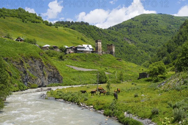 River surrounded by green countryside and hills with a village in the background, horses on the shore, Davberi on the Enguri River, Mingrelia and Upper Svaneti, Svaneti