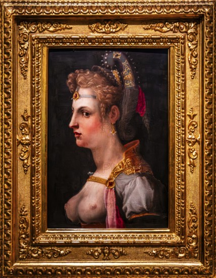 Female bust - Venus Victrix, Michele di Jacopo Tosini, Florence around 1565, Czartoryski Museum, 1796, oldest museum in Poland, Krakow, Poland