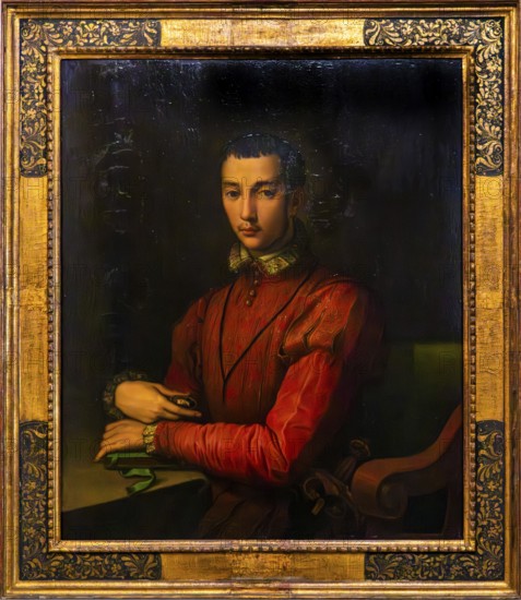 Portrait of Francesco de' Medici, Florence, 1564, Wawel Royal Castle, former residence and seat of government of the kings of Poland, founded around 1000, Krakow, Poland