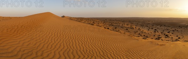 Sand dunes in the Wahiba Sands desert, Oman