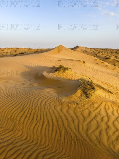 Sand dunes in the Wahiba Sands desert, Oman