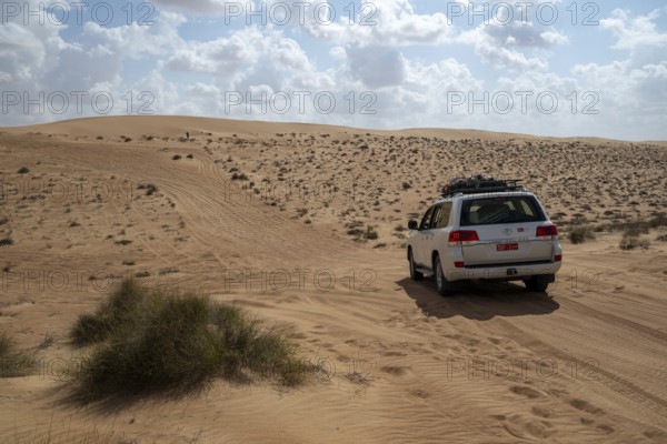 Car parked on sandy road, Wahiba Sands desert, Oman