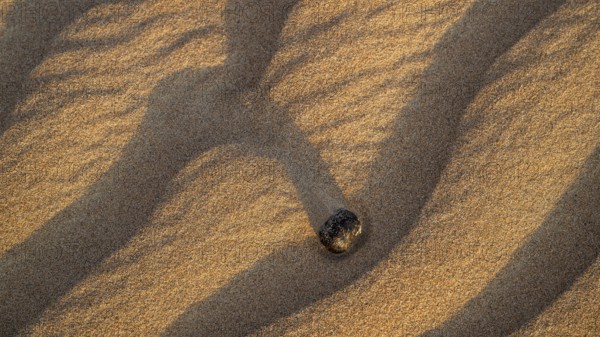 Structures in the sand, detail, sand dunes in the Wahiba Sands desert, Oman