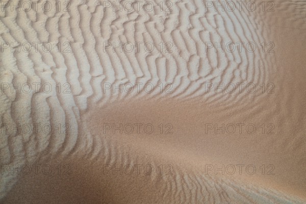 Structures in the sand, sand dunes in the Wahiba Sands desert, Oman