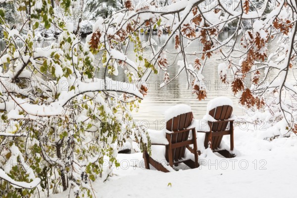 Two brown stained wooden Adirondack chairs by riverside framed by Salix - Willow and Quercus - Oak tree branches covered with winter like snow in late autumn, Ile des Moulins, Old Terrebonne, Quebec, Canada